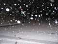 Medina Christmas 2004 090